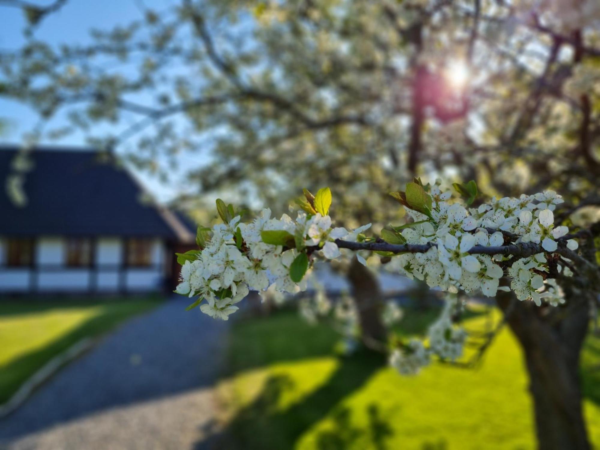B&B Bauernhofferien Auf Mon Askeby Exterior foto