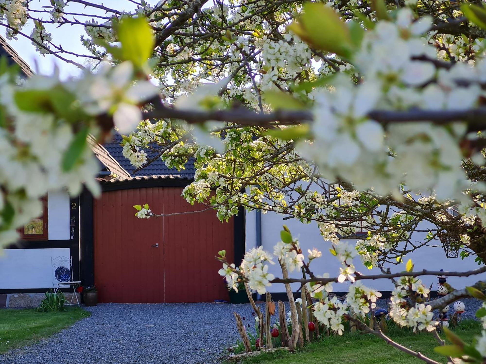 B&B Bauernhofferien Auf Mon Askeby Exterior foto